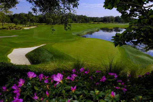 Hyatt Regency Grand Cypress Resort Near Hotel Photos