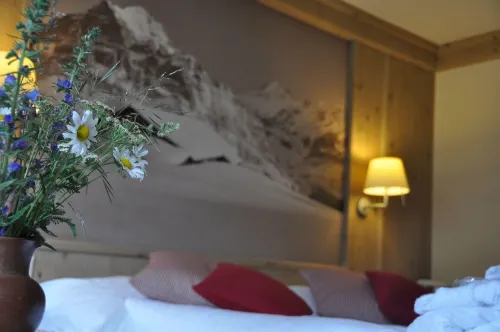 Hotel Spinne Photos