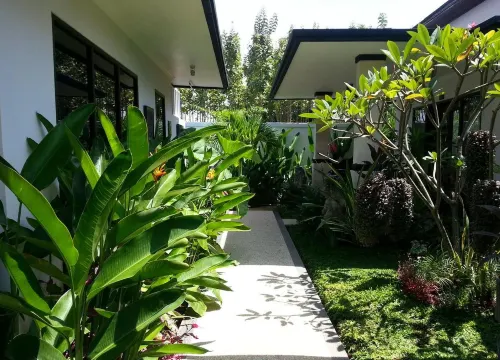 Kelapa Lovina Beach Villas - Singaraja BALI Eksterior Photos