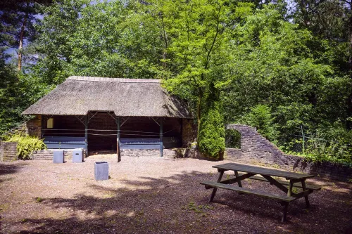 Fletcher Hotel Restaurant de Wipselberg-Veluwe Eksterior Photos