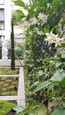 Les Jardins de Mademoiselle Hôtel & Spa Extérieur Photos