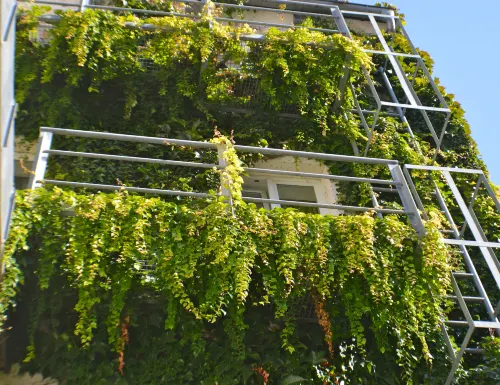 Hotel Kunterbunt in Würzburger Innenstadt Aree comuni Photos