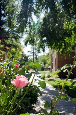 Sonesta ES Suites Fresno À ne pas manquer Photos