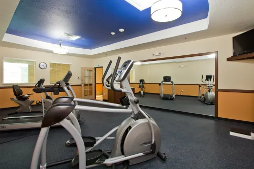 Holiday Inn Express & Suites Denver East-Peoria Street Loisirs et amusements Photos