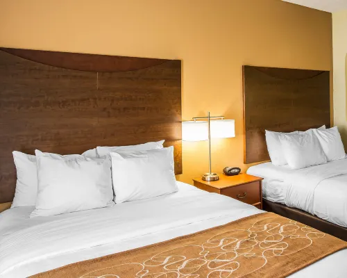 Comfort Suites Anderson-Clemson Photos