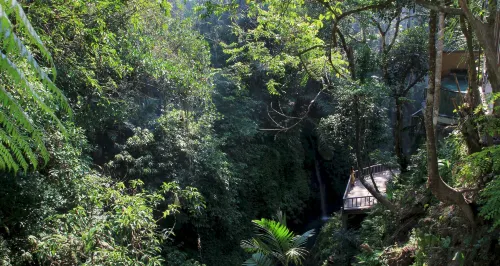 The Kayon Resort(Adult Only) Near Hotel Photos