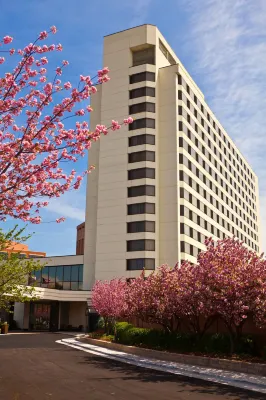 Tysons Corner Marriott Featured Photos