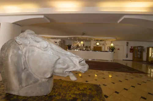 Hotel Antares Sport Beauty & Wellness Aree comuni Photos