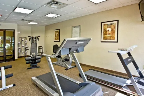 Holiday Inn Express Tampa-Brandon Leisure & Recreation Photos