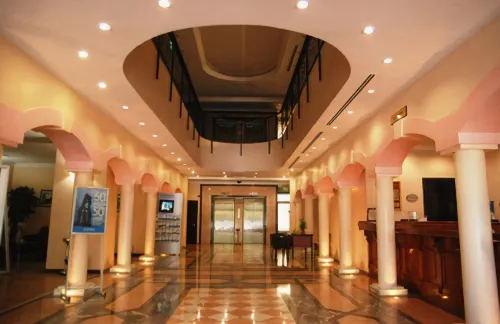 Plaza Hotel Diyarbakir Khu vực công cộng Photos