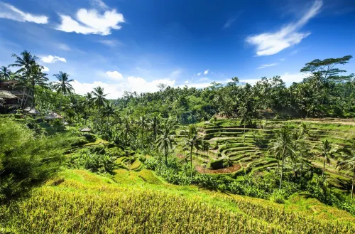 Le Meridien Bali Jimbaran Dekat Hotel Photos