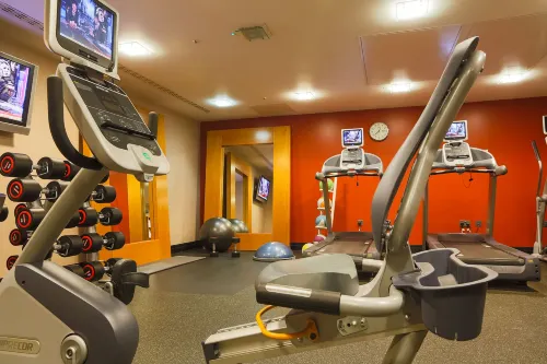 DoubleTree by Hilton London Victoria Leisure & Recreation Photos