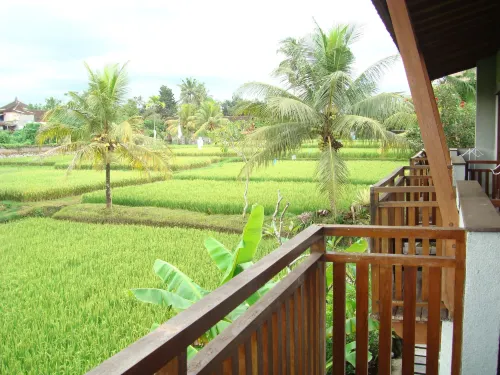 Anini Raka Resort & Spa Dekat Hotel Photos