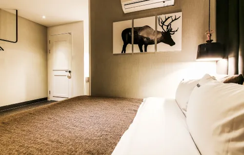 Hotel Ignis Photos