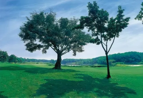 Kirimaya Golf Resort Spa بالقرب من الفندق Photos