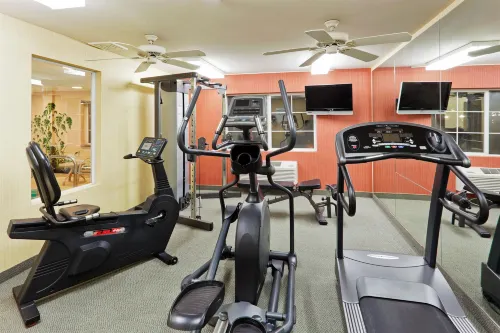 Holiday Inn Express & Suites Bishop Leisure & Recreation Photos