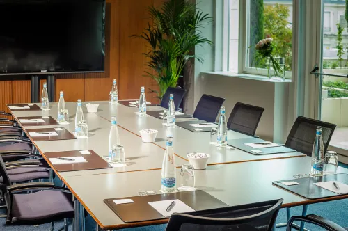 Lausanne Palace Business Photos