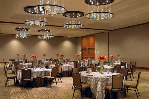The Westin Bellevue Espaces Affaires Photos