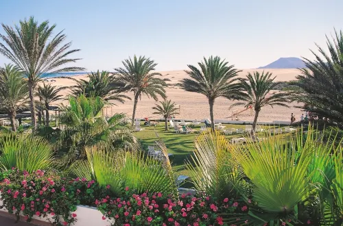 Hotel Riu Oliva Beach Resort - All Inclusive Near Hotel Photos