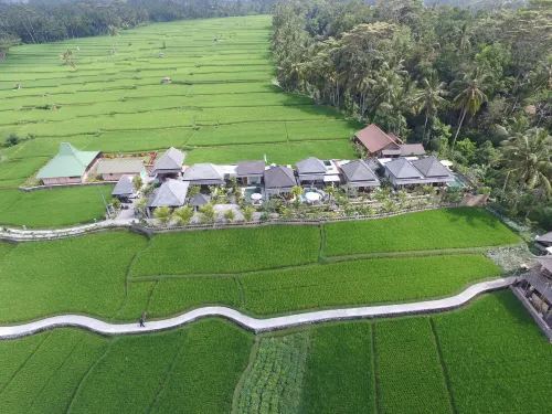 Villa JJ and Spa Ubud بالقرب من الفندق Photos