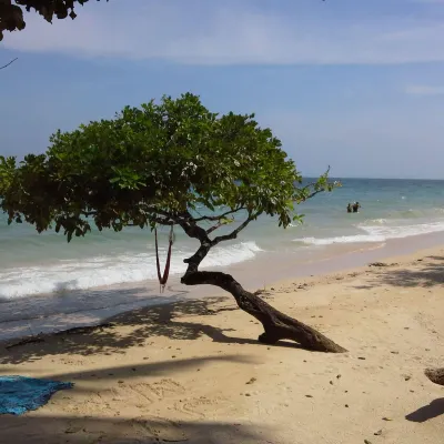 Phi Phi Relax Beach Resort À proximité de l'hôtel Photos