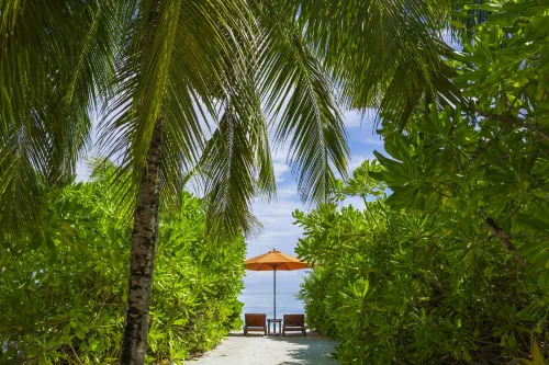 Angsana Velavaru – 20% off seaplane transfer & 2 free excursions - book & stay from Jun to Sep 2025 Extérieur Photos