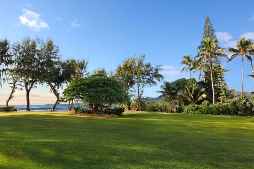 Kauai Shores Hotel À proximité de l'hôtel Photos