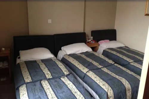 Holland Inn Hotel Photos