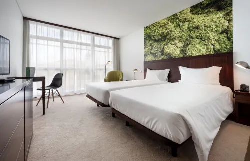 Neat Hotel Avenida Photos