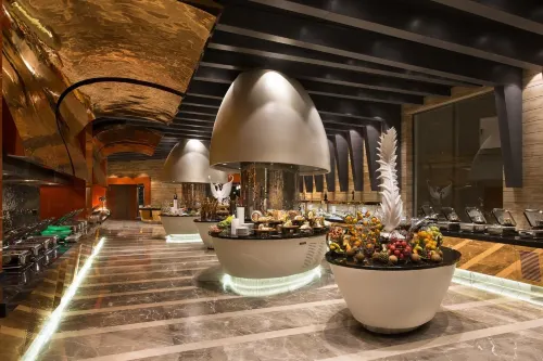 Elexus Hotel Resort & Spa & Casino Питание Photos