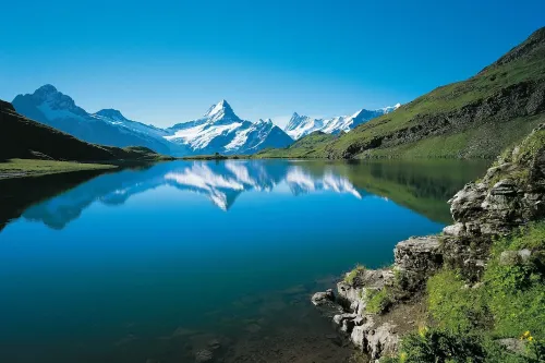 Victoria Jungfrau Grand Hotel and Spa Interlaken À proximité de l'hôtel Photos