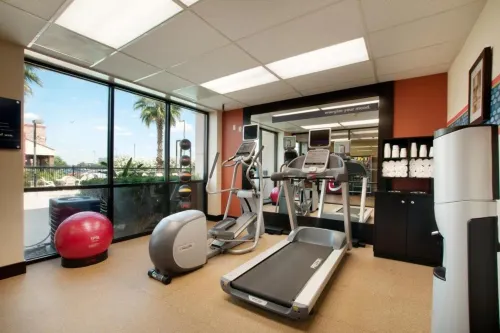 Hampton Inn Houston-Brookhollow Leisure & Recreation Photos