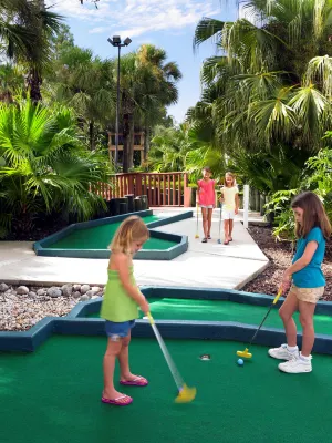 Sheraton Vistana Resort Villas, Lake Buena Vista/Orlando Leisure & Recreation Photos