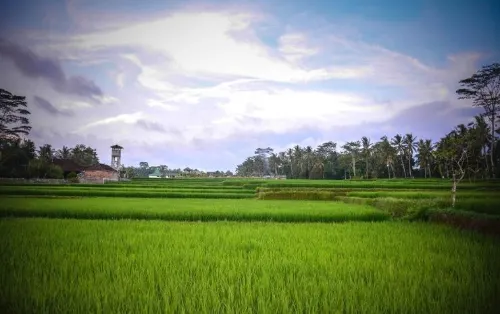 Villa JJ and Spa Ubud Dekat Hotel Photos