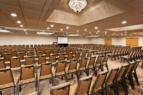 Sheraton Park Hotel at The Anaheim Resort Business Facilities Photos