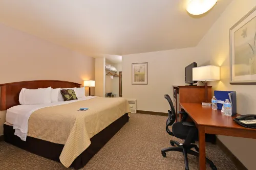 Best Western University Inn Photos