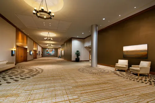 The Westin Bellevue Espaces publics Photos
