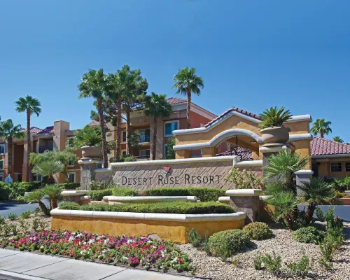 Desert Rose Resort À ne pas manquer Photos