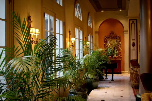 Bourbon Orleans Hotel Public Areas Photos