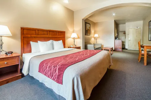 Comfort Inn at Convention Center Photos