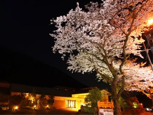 Hatsuhana Außen Photos