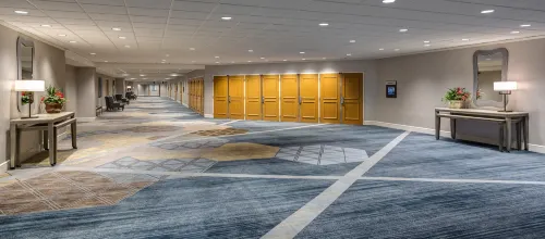 Hilton New Orleans Riverside Dành cho công việc Photos