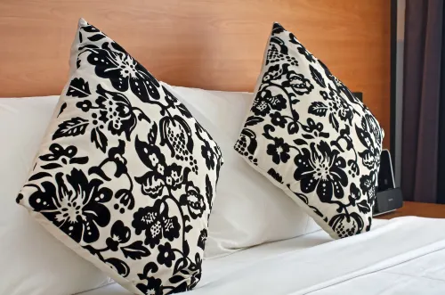 Comfort Inn on Raglan Photos
