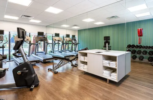 Holiday Inn Express Tampa-Brandon Leisure & Recreation Photos