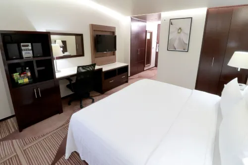 Holiday Inn & Suites Mexico Medica Sur Photos