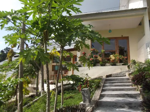 CF Komodo Hotel Area Publik Photos