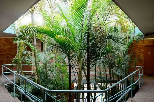 Bankstown Motel 10 Featured Photos