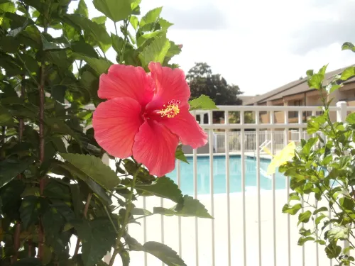 Quality Inn & Suites Pensacola Bayview Leisure & Recreation Photos