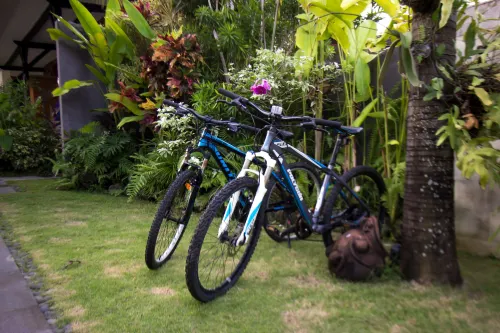 Natya Hotel Tanah Lot Esterni Photos