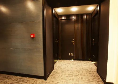 Taksim Hotel V Plus Aree comuni Photos